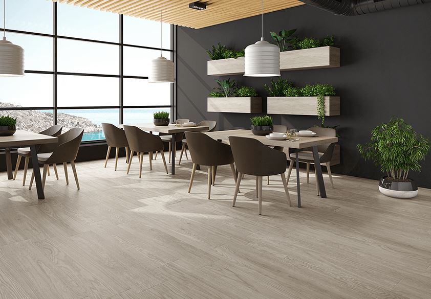 Symphony Arce Maple