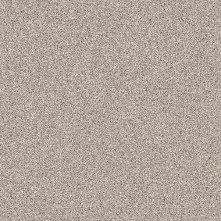 Rustic Tropics Beige Mist