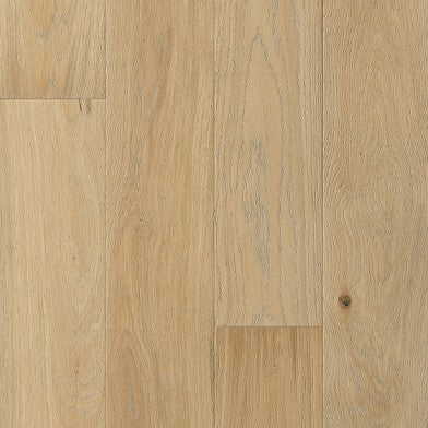 Fioritura Bluebonnet