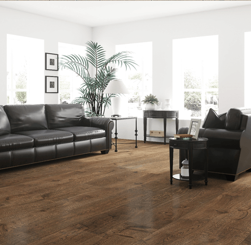 Sleepy Hollow Bracken