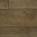 Trepidation Brown