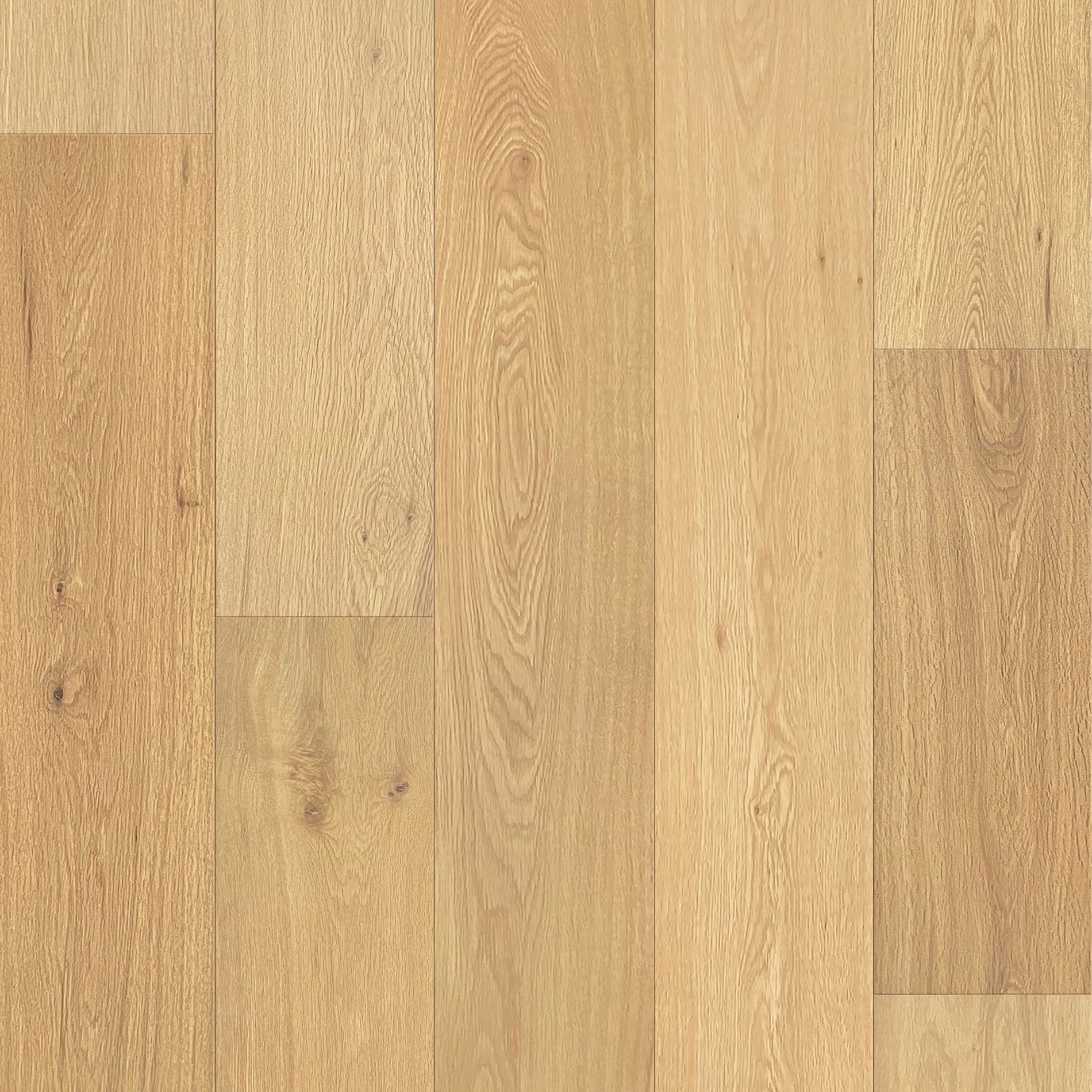 Lumière Pure Classic