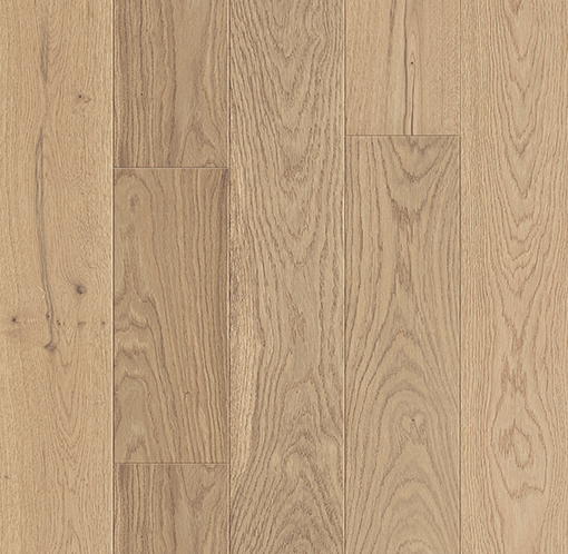 Roccia Montana Collins