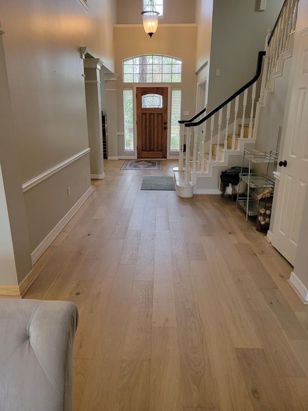 Austin Collection Corvina