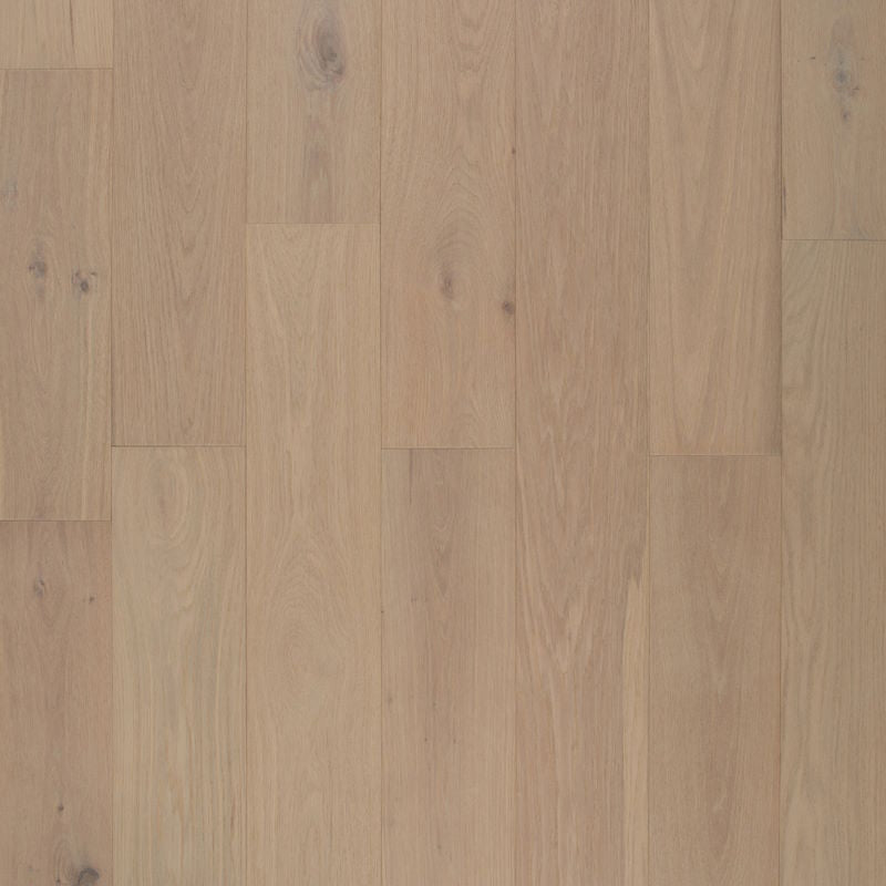 Austin Collection Corvina