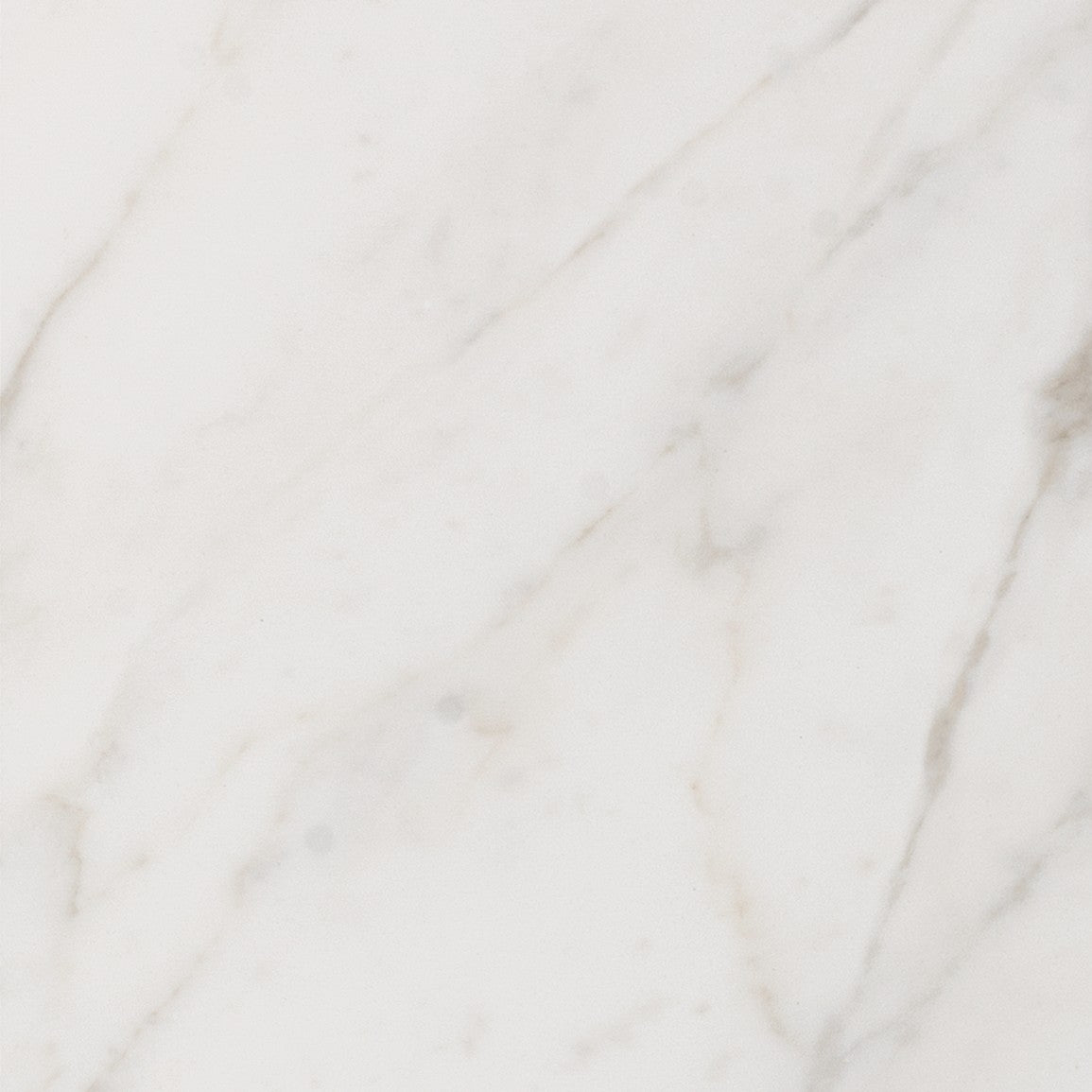 Triuimph Golden Calacata*