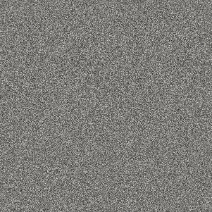 Rustic Tropics Graphic