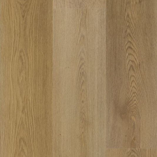 Spanish Estate Manor