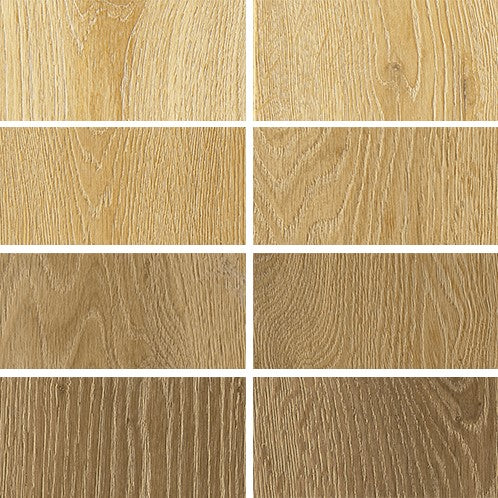 Choix de Forêt Lago Vista