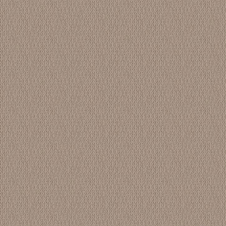 Renowned Elegance Pebble Path