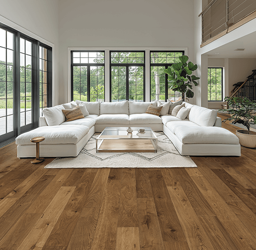 Choix de Forêt Rolling Hills