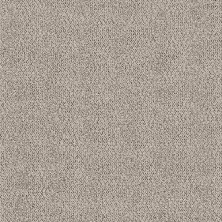 Renowned Elegance Sandstone