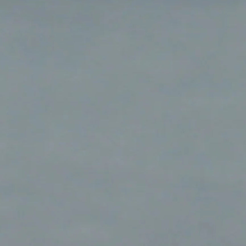 Albatross