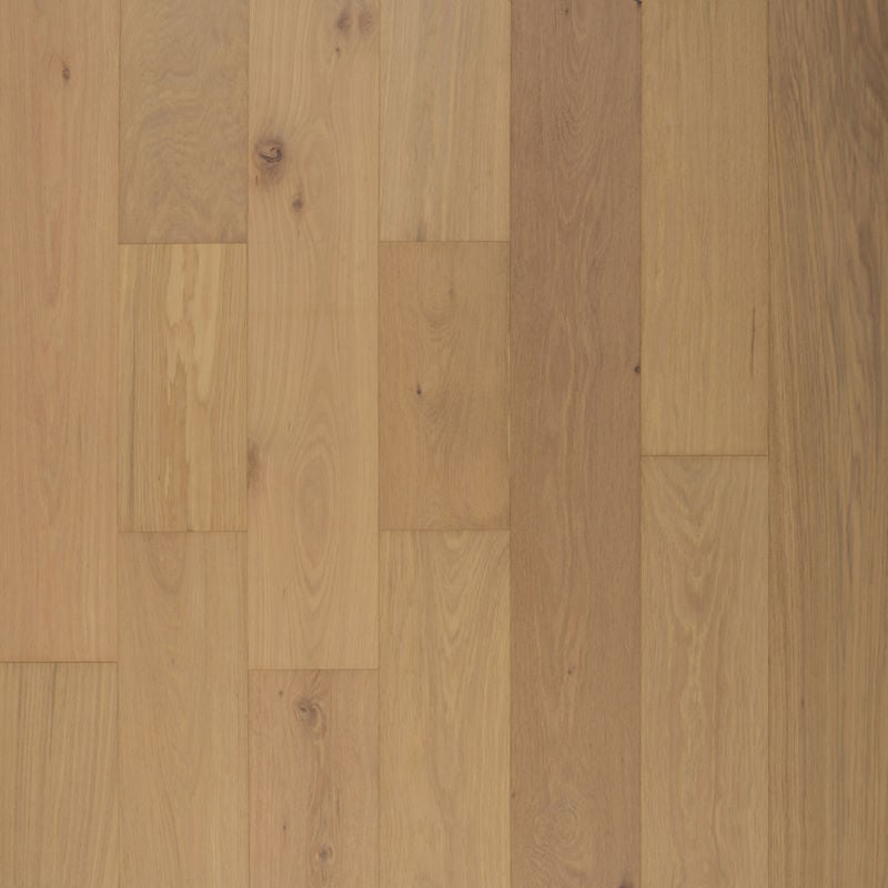 Austin Collection Verdejo