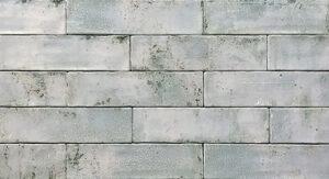 Grunge - Grey #1254 - Tesoro
