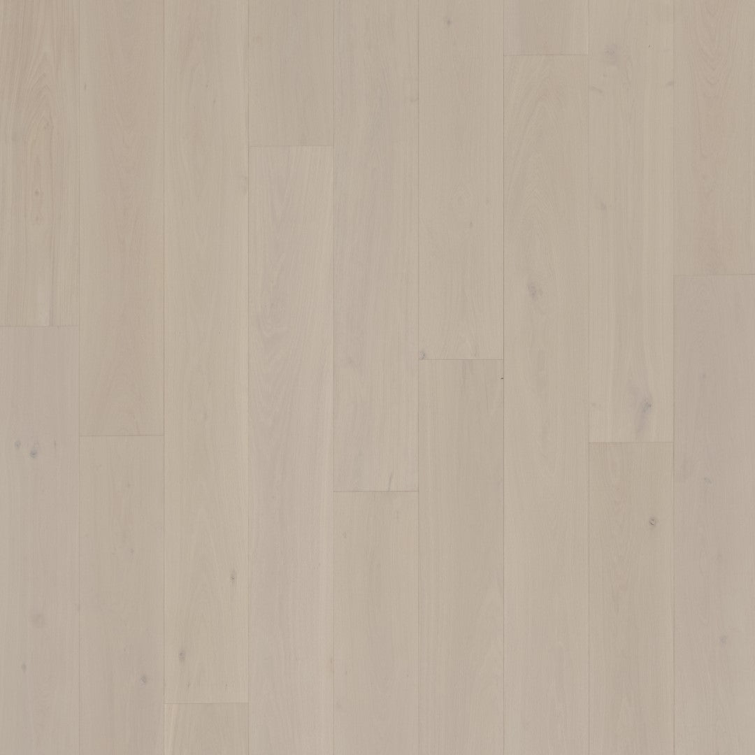 Composition 8 Winter Palace