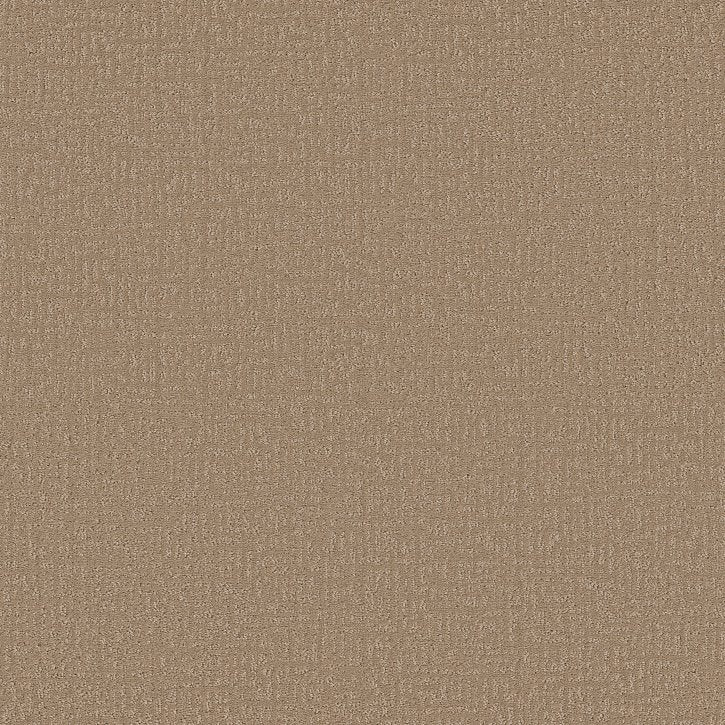 Specialist Pattern Worn Path