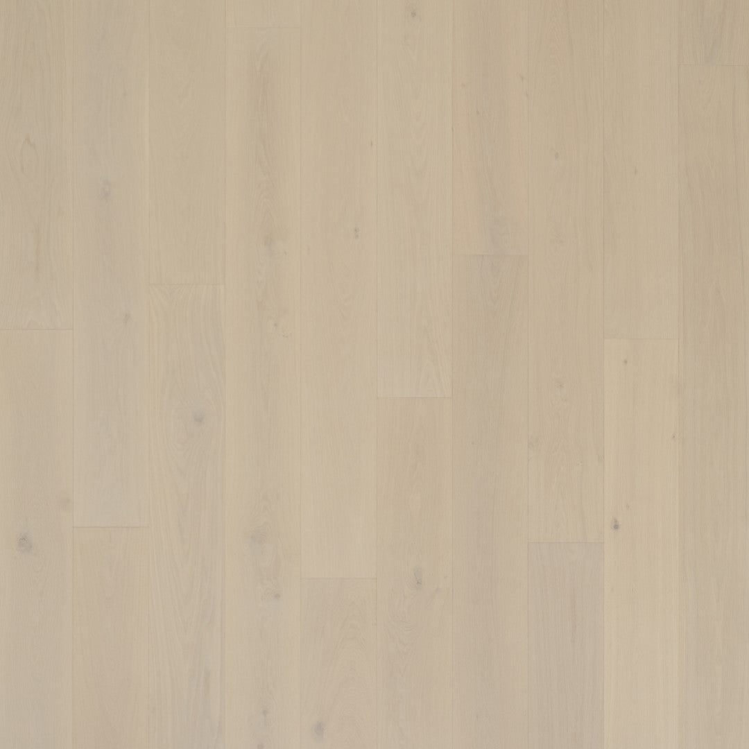 Composition 8 Acropolis