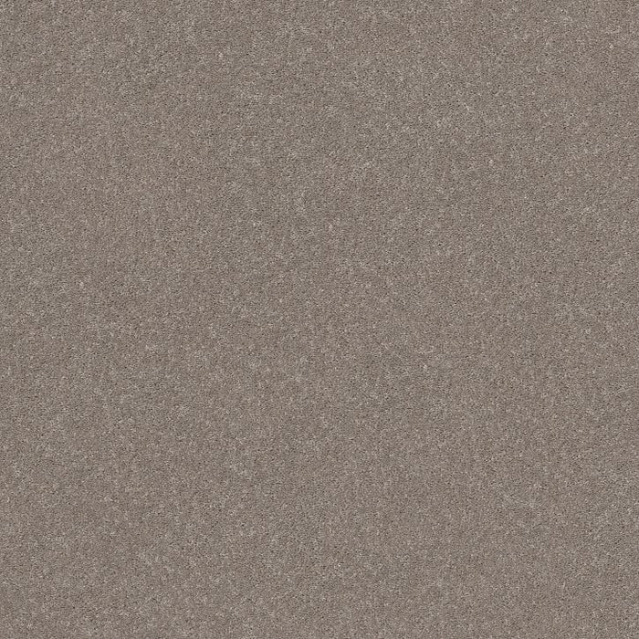Modern Perspective Anew Grey