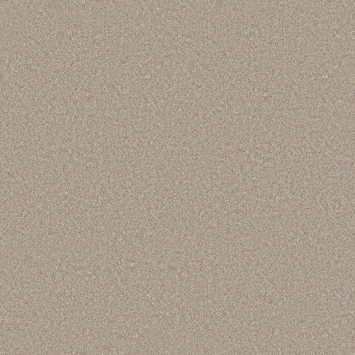 Rustic Tropics Baja