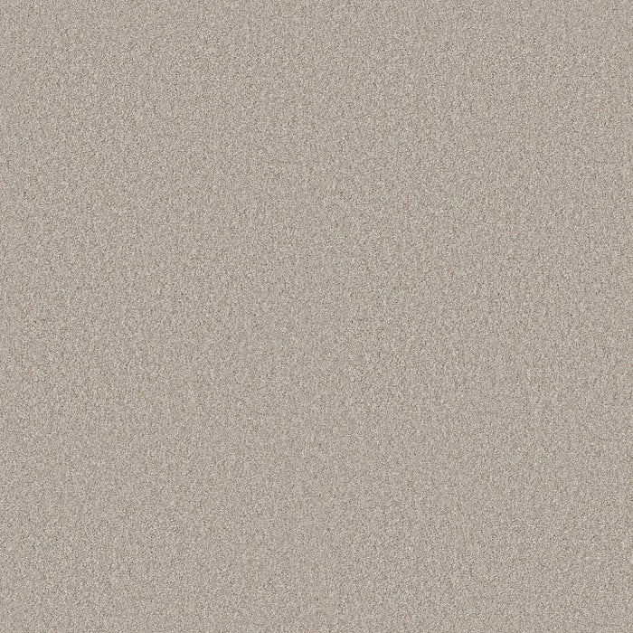 Rustic Tropics Beige Mist