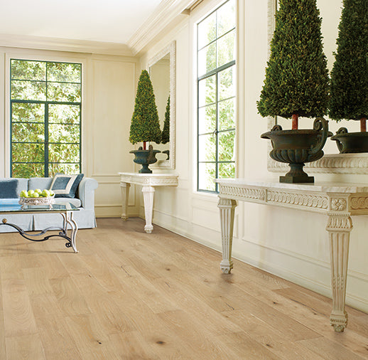 Fioritura Bluebonnet