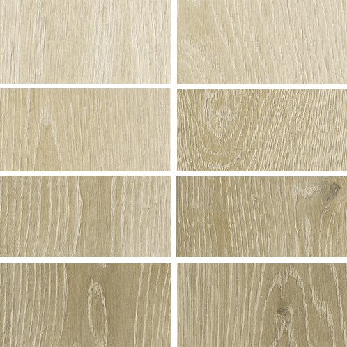 Choix de Forêt Canon