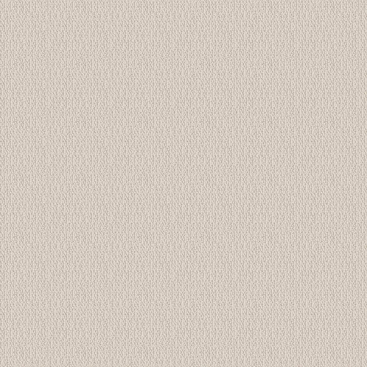 Renowned Elegance Canvas