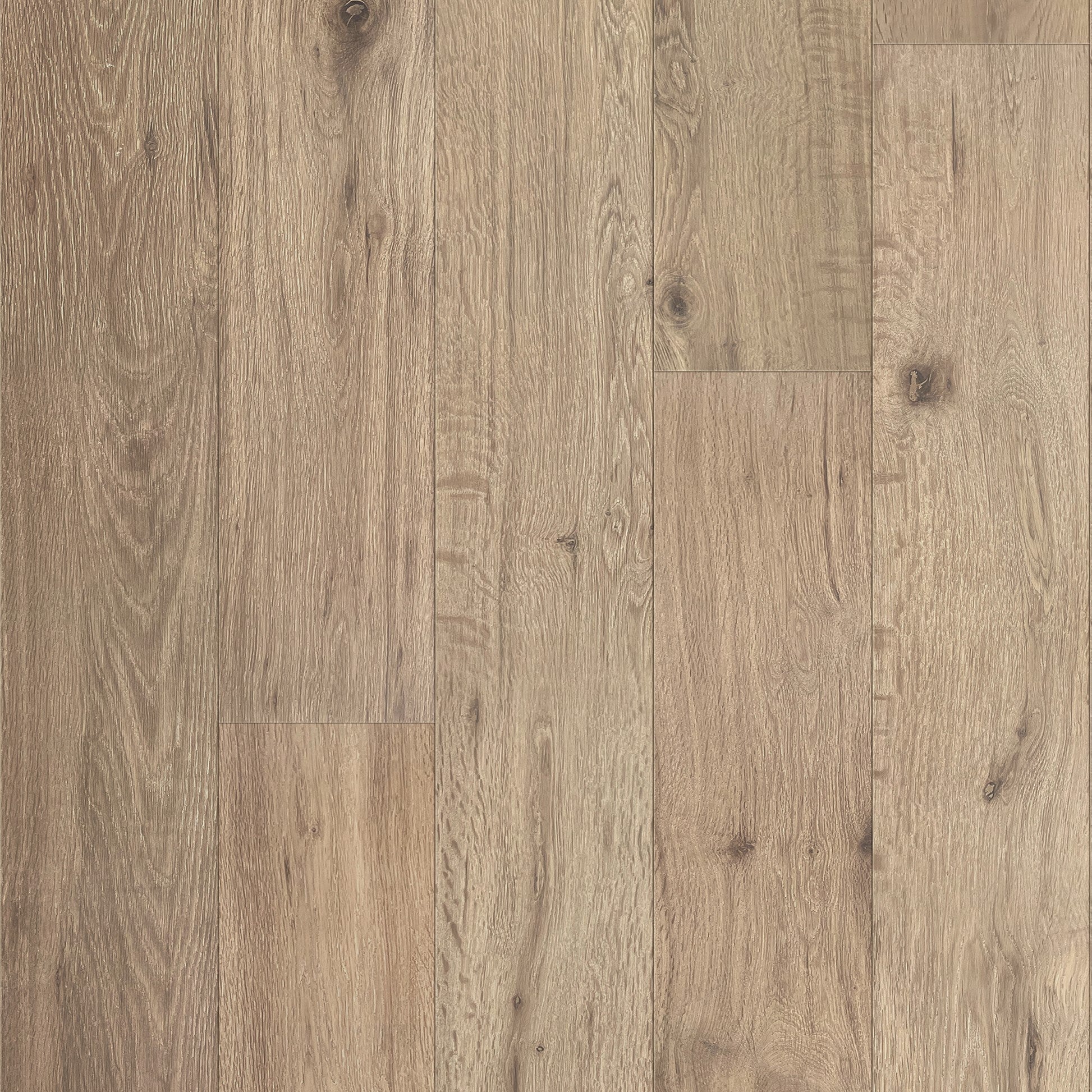 Lumière Pure Cappucino