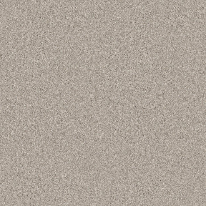 Rustic Tropics Chic Taupe