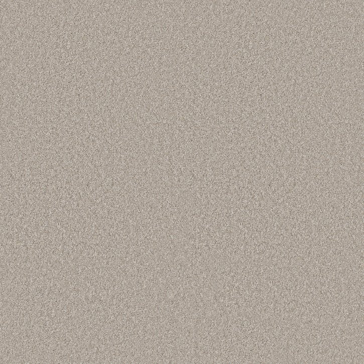 Rustic Tropics Chic Taupe