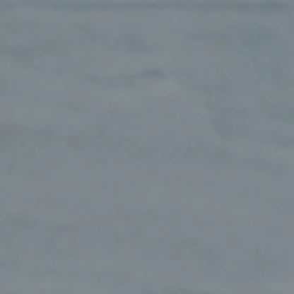 Albatross