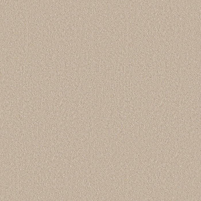 Rustic Tropics Dune View