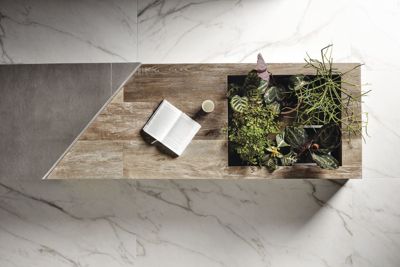 Triuimph Golden Calacata*