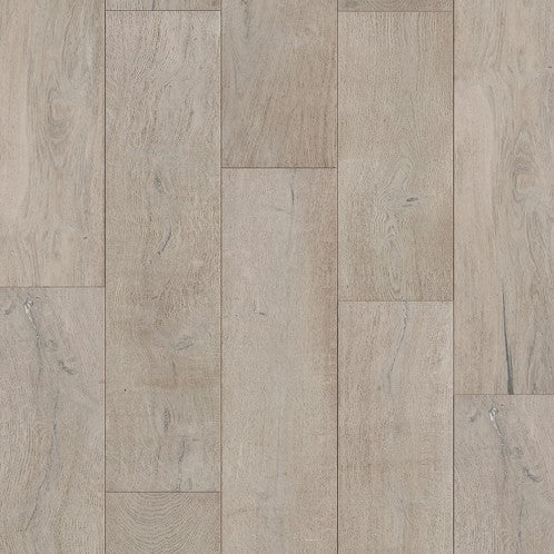 Sleepy Hollow Longhorn