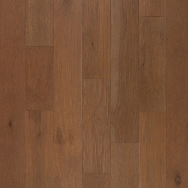 Austin Collection Luna