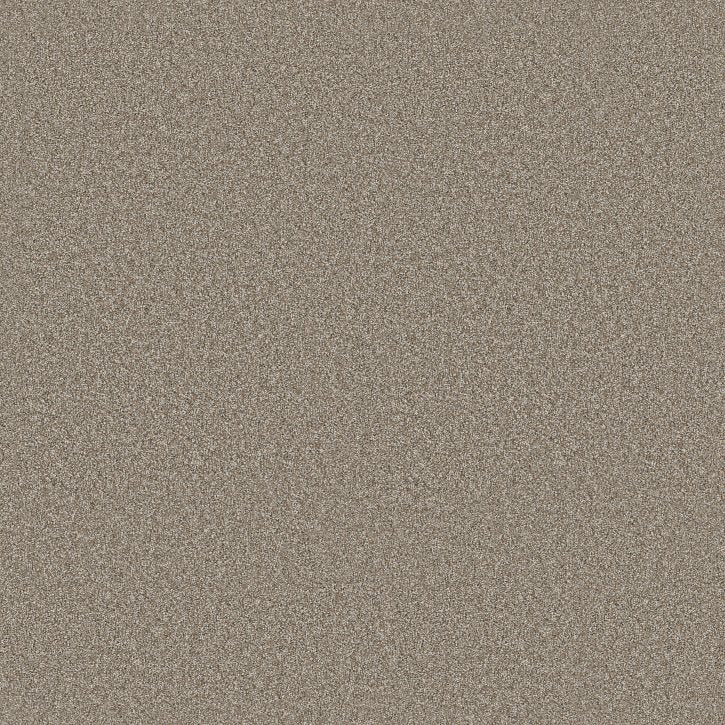 Rustic Tropics Mocha