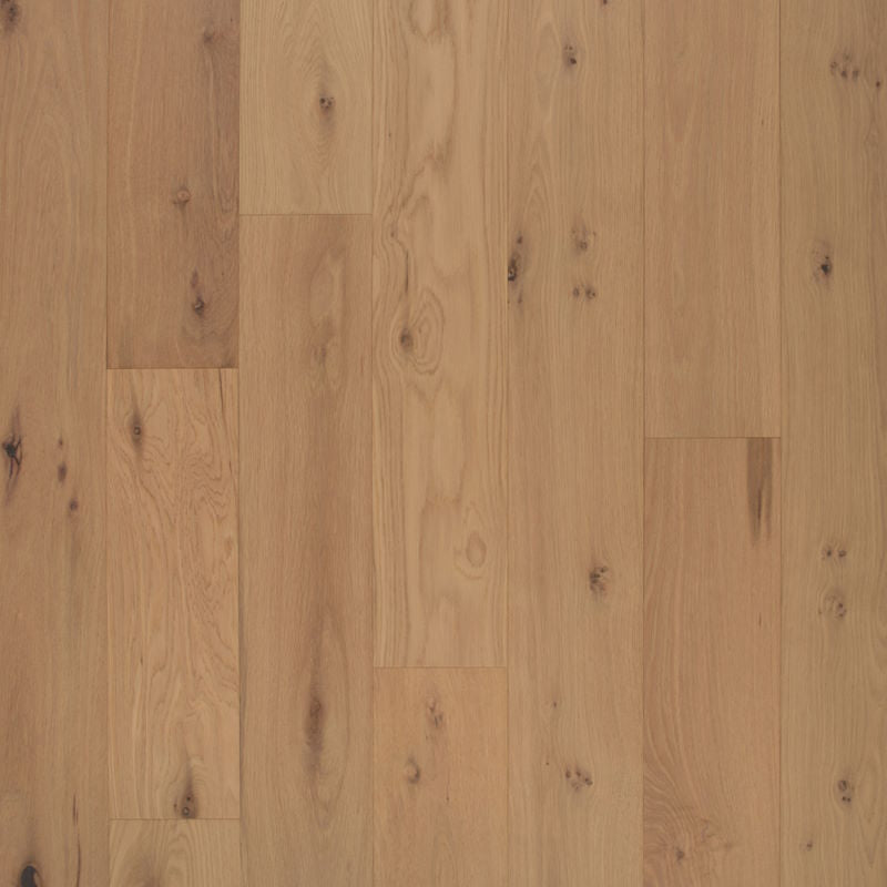 Austin Collection Pinot Grigo