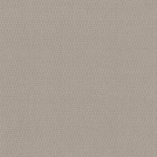 Renowned Elegance Sandstone