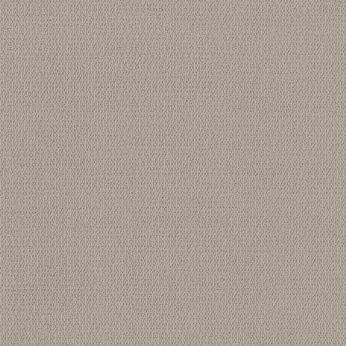 Renowned Elegance Sandstone