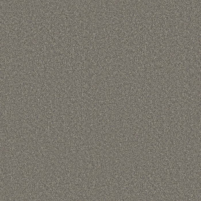 Rustic Tropics Shadows