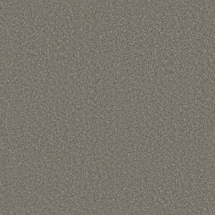 Rustic Tropics Shadows