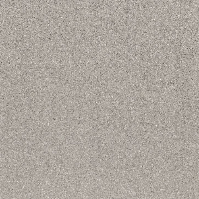 Modern Perspective Silver Mist