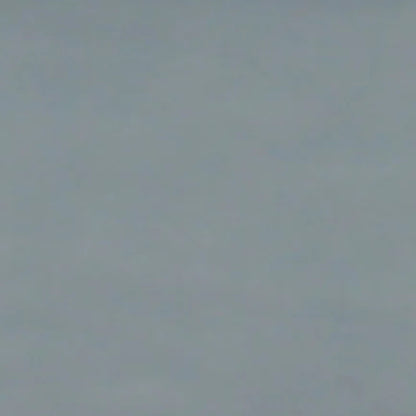 Albatross