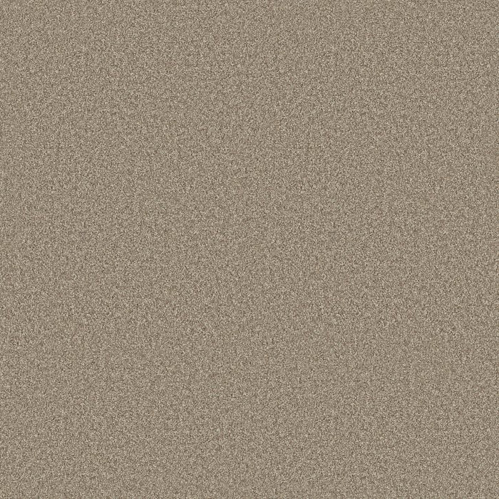 Rustic Tropics Stonecrest