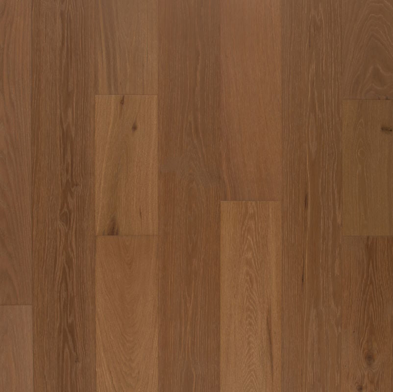 Austin Collection Syrah