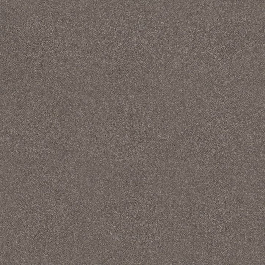 Modern Perspective Urban Taupe