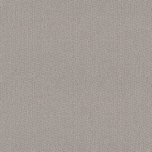 Renowned Elegance Warm Greige
