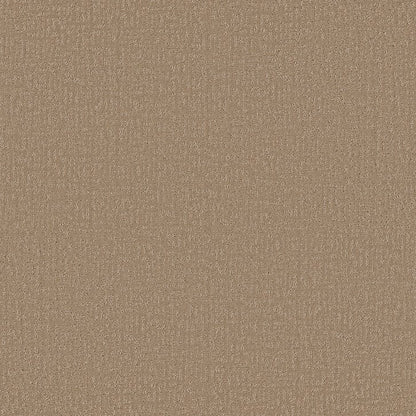 Specialist Pattern Worn Path